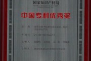 创新之光如何点亮我们的生活？世界优秀专利技术精选带来的启示