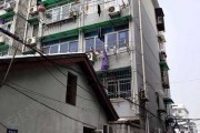 杭州小区防渗有高招，雨水不再愁，住房更安心