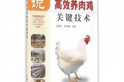养鸡这行当里的真经，俺们这些年踩过的坑你可别再踩