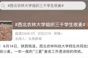 作秀的技術：別再傻乎乎干活，你得学会“让结果被看见”