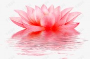 AI梦幻莲花是个啥玩意儿？俺来跟你唠唠这里头的门道